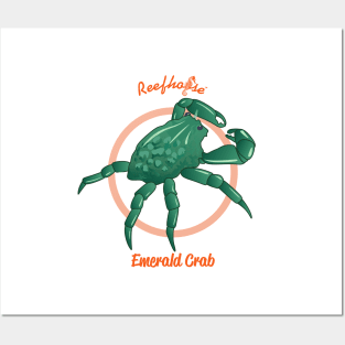 Emerald Crab Posters and Art